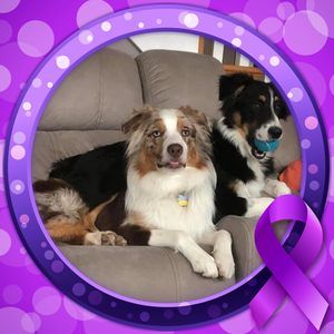 Meet your Posher, Kistin